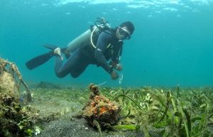 À qui s’adresse le Muck Diving ?